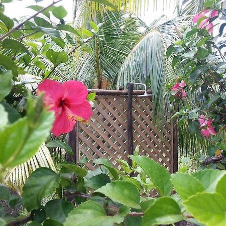 Zanboza Guesthouse La Digue Dış mekan fotoğraf
