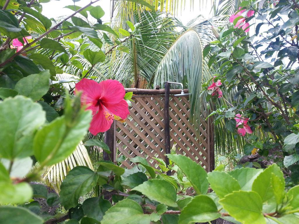Zanboza Guesthouse La Digue Dış mekan fotoğraf